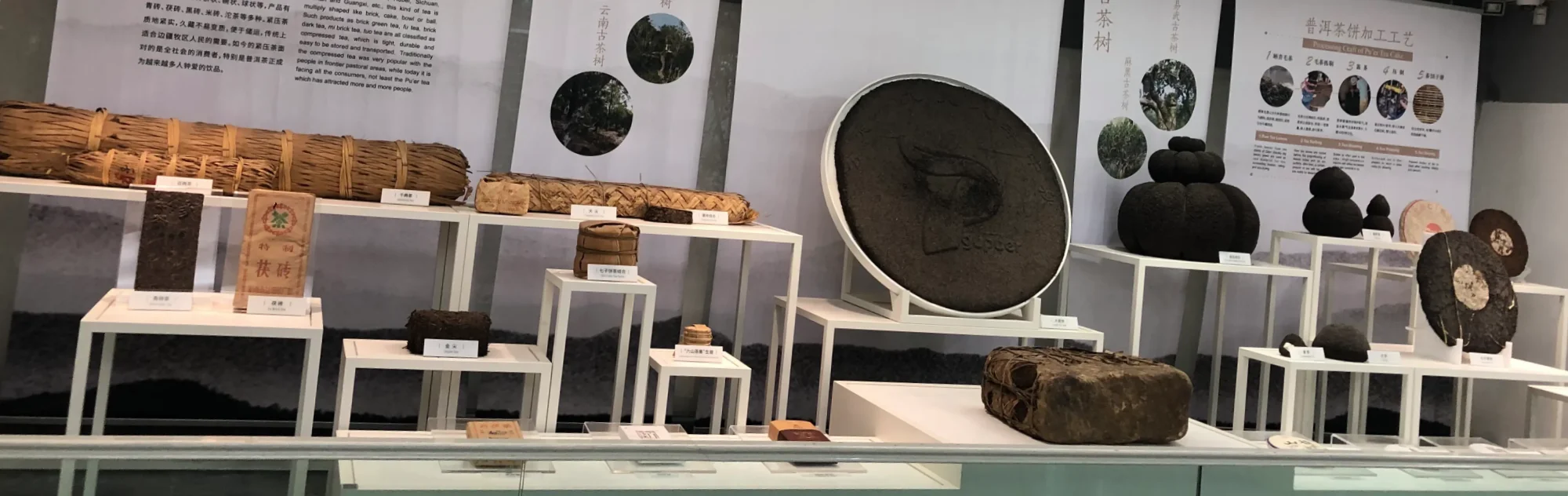 China National Tea Museum head