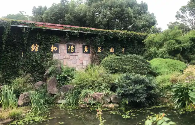 Hangzhou China National Tea Museum