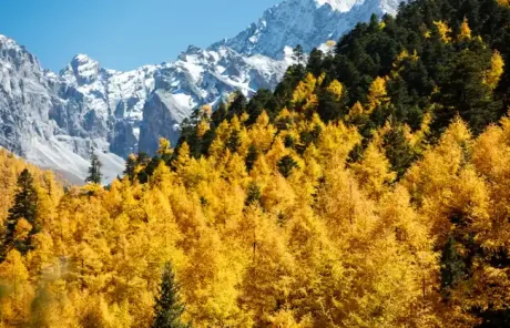 8 Days Shangri-La & Daocheng Yading Tour from Lijiang