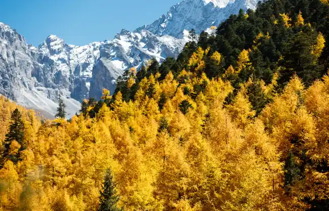 12 Best Places to Visit in China in Autumn