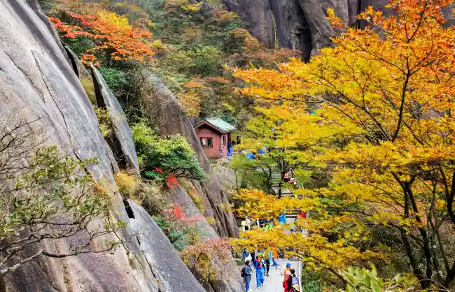 Huangshan in Autumn
