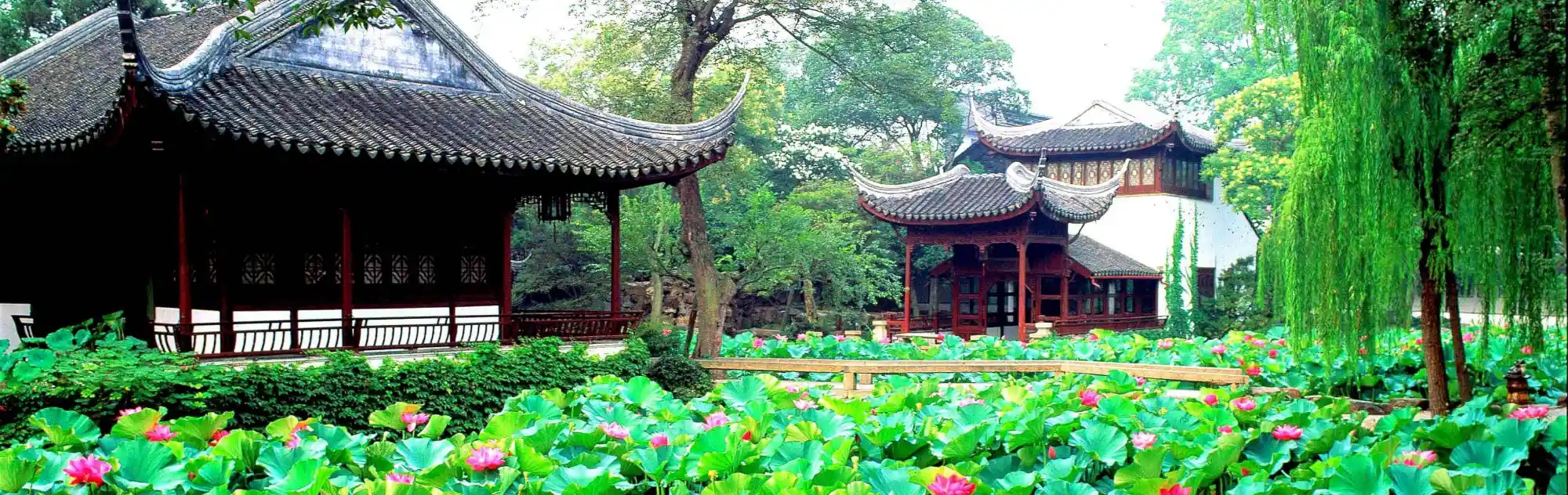 Humble Administrator Garden head