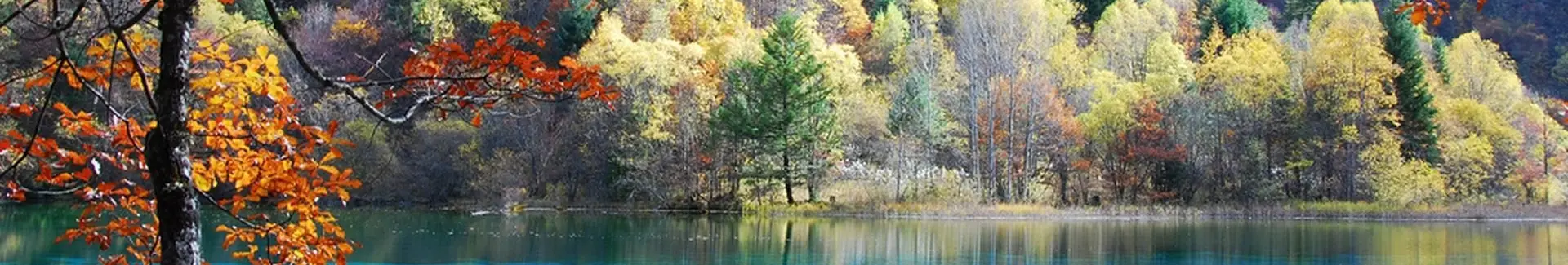 Jiuzhaigou head