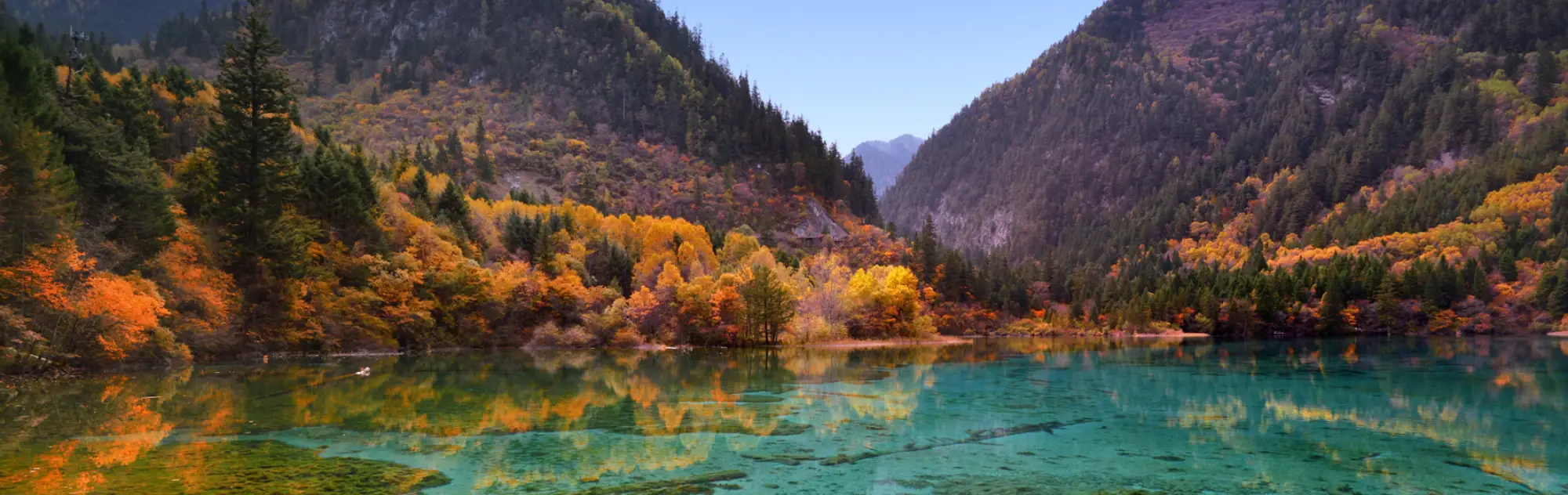 Jiuzhaigou in Autumn head