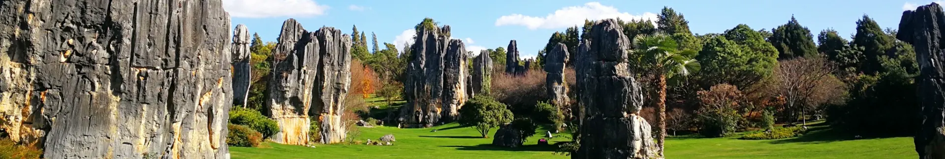 Yunnan Kunming Stone Forest head