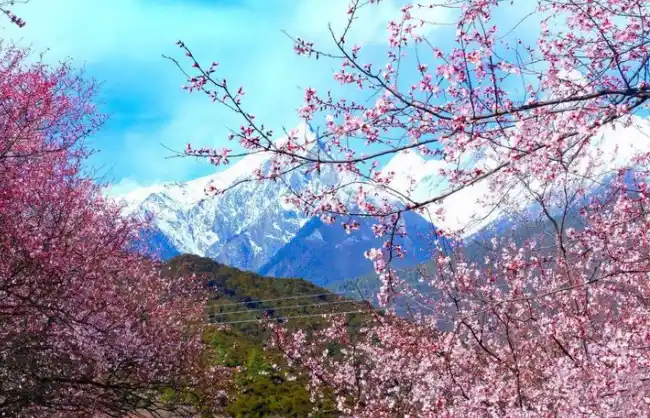 11 Days Tibet Train Tour with Nyingchi