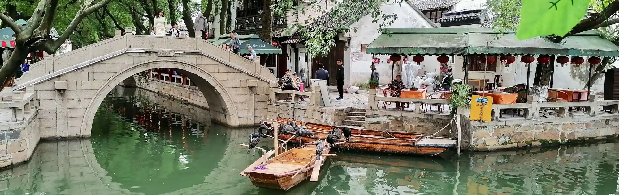 Tongli Water Town head
