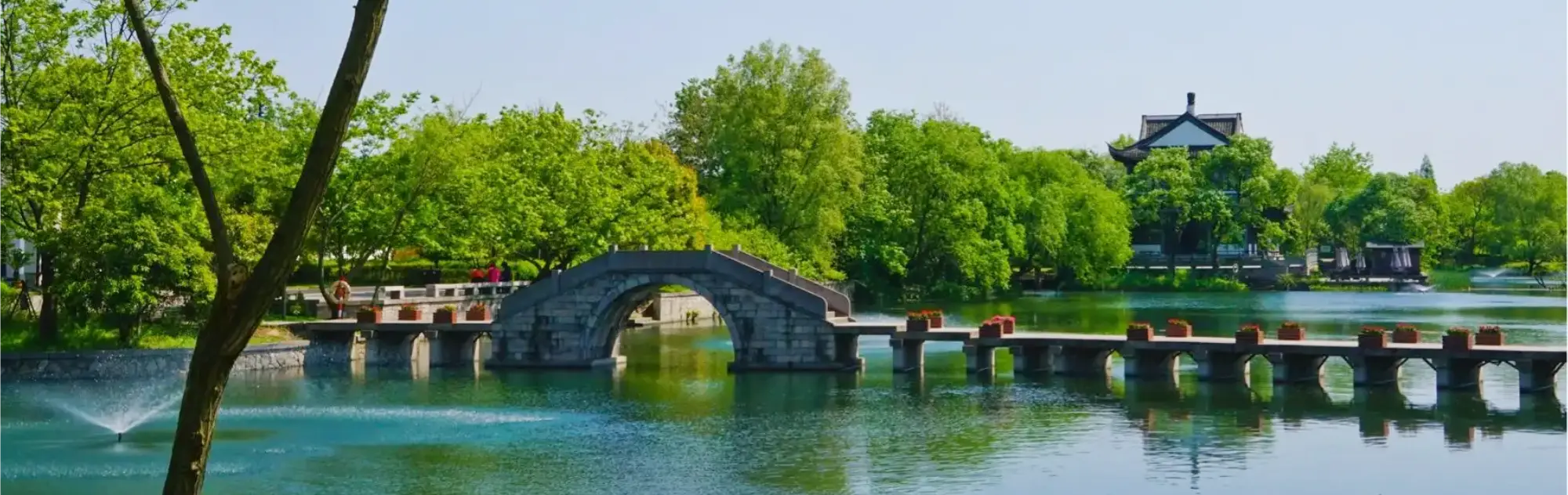 Xixi National Wetland Park head