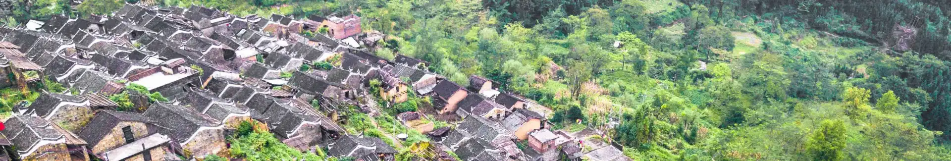 Guangdong Yao Village head