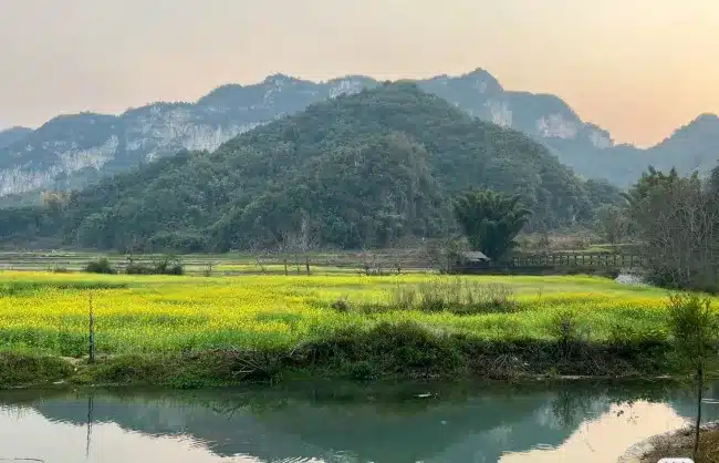Bamei Village