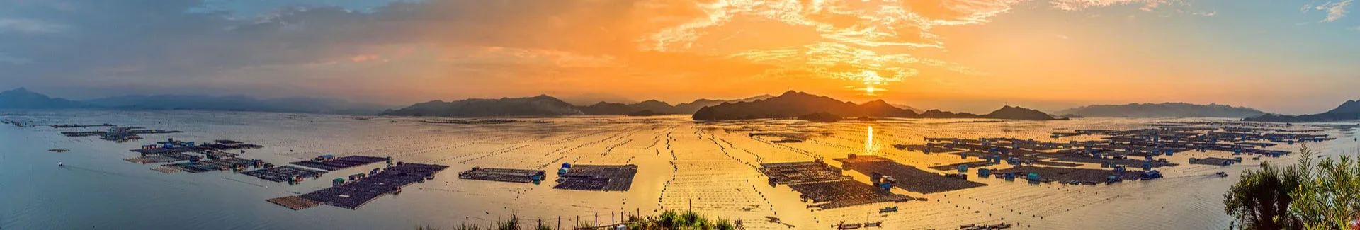 Fujian Xiapu Mudflat head