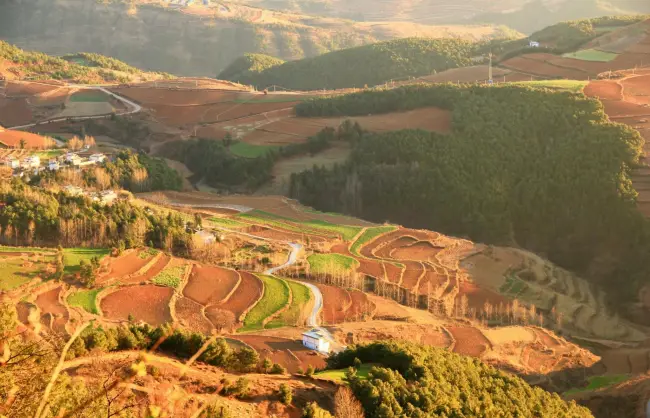 Yunnan Dongchuan Damakan
