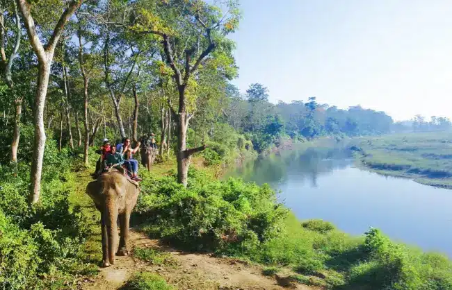 Chitwan National Park