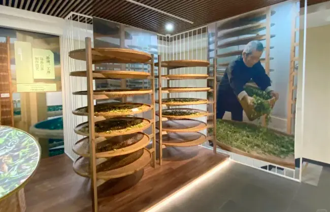 Exhibits in China National Tea Museum