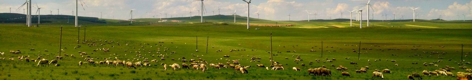 Inner Mongolia Huitengxile Grassland