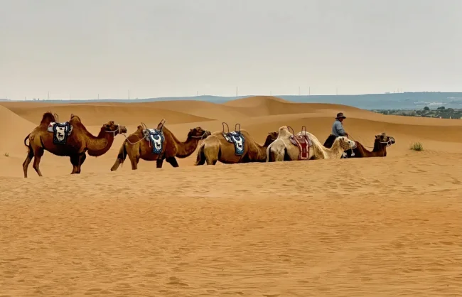 Kubuqi Desert
