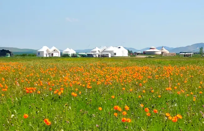 Pasture in Xanadu, Inner Mongolia