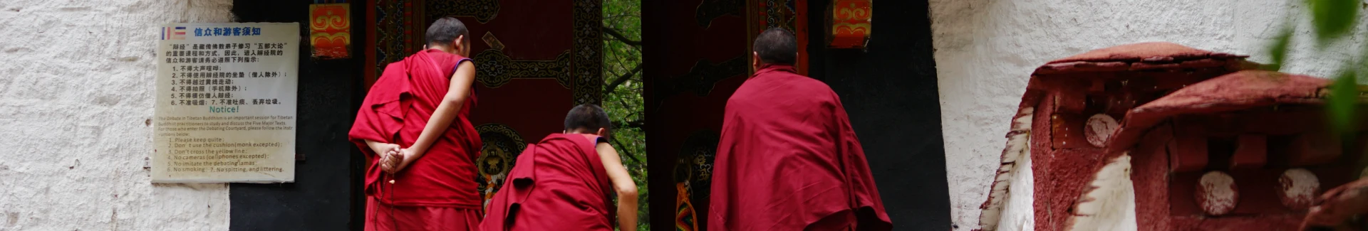 Sera Monastery Lhasa head