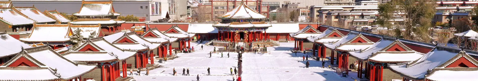 Shenyang Imperial Palace head