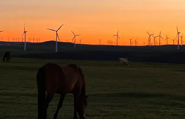 Sunrise on Huitengxile Grassland