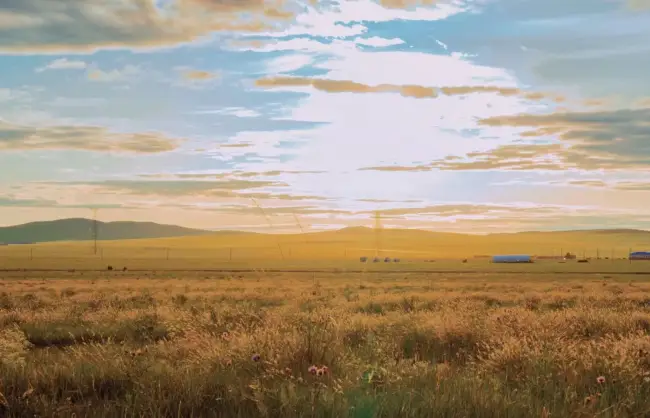 The Mongol Khan City
