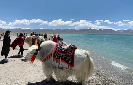 9 Days Tibet Tour with Everest and Namtso Lake