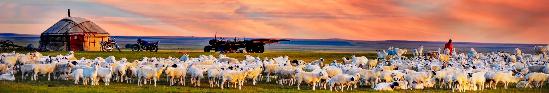 Xilingol Grassland
