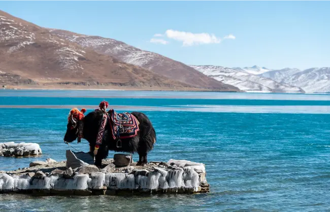 Yamdrok Lake Tibet