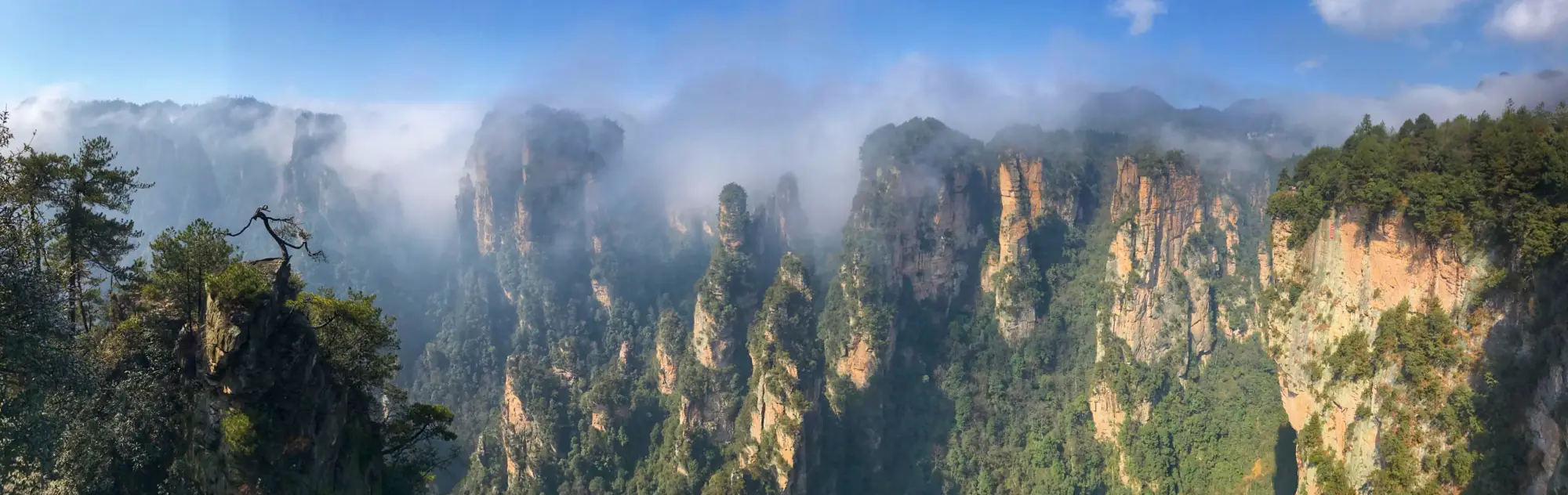 Yuanjiajie Scenic Area head