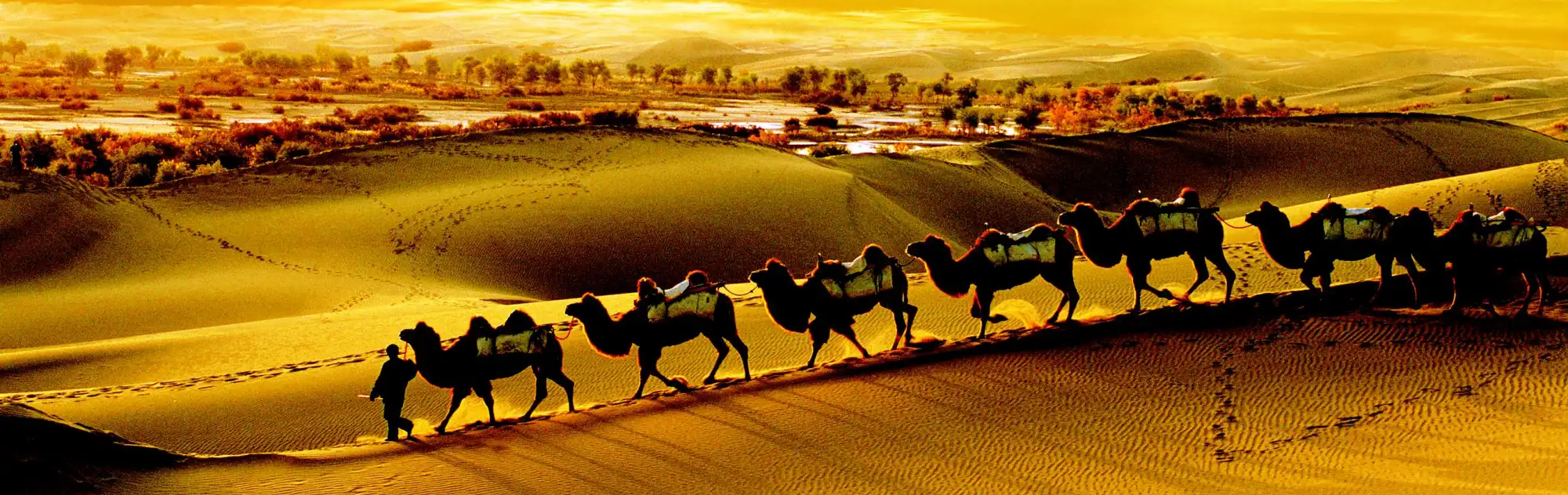 Silk Road China head