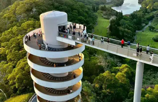 Night View at Nanshan Tree Viewing Platform - China Xian Tour: Private & Tailor-Made China Tours Night View at Nanshan Tree Viewing Platform