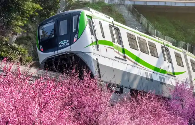 cherry blossoms at fotuguan station - China Xian Tour: Private & Tailor-Made China Tours Cherry Blossoms at Fotuguan Station