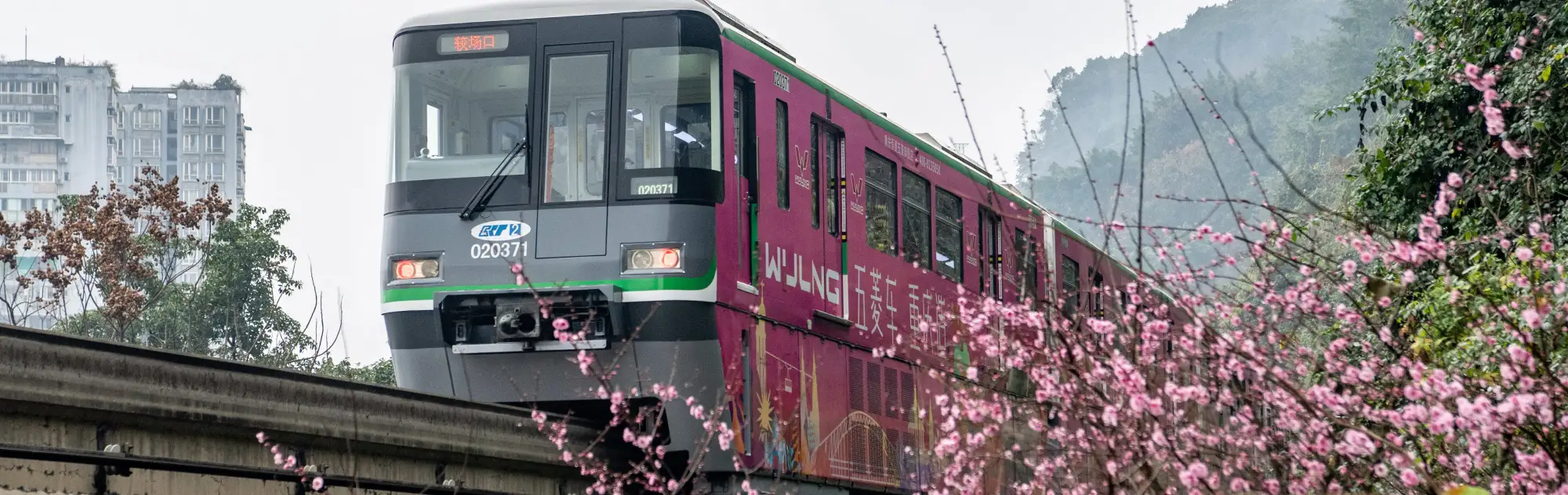 chongqing-spring-head