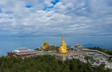 Beijing Xian Chengdu Hangzhou Huangshan Shanghai Tour