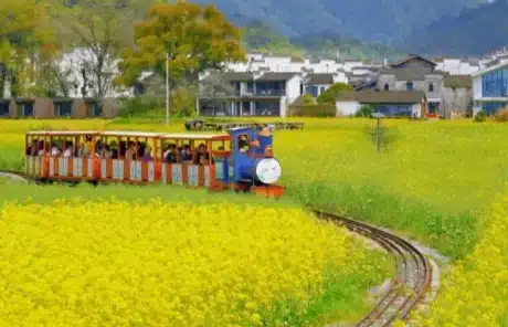 jiangxi in spring - China Xian Tour: Private & Tailor-Made China Tours Jiangxi in Spring