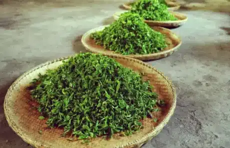 lushan mountain tea - China Xian Tour: Private & Tailor-Made China Tours Lushan Mountain Tea