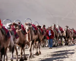 camel-caravan-on-the-silk-road - China Xian Tour: Private & Tailor-Made China Tours China Silk Road Tour with camel riding