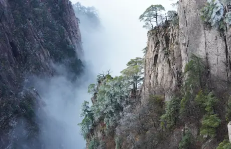 Travel to Huangshan Mountain in China
