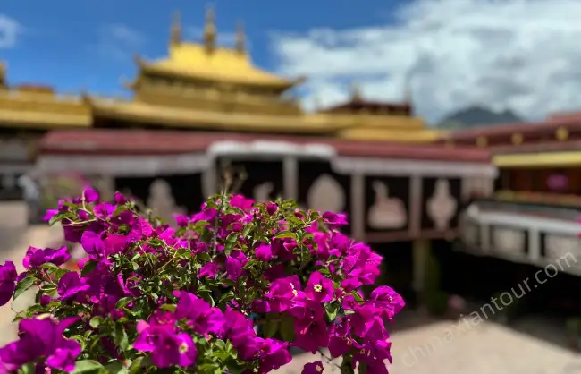 Travel to Tibet for Jokhang Temple