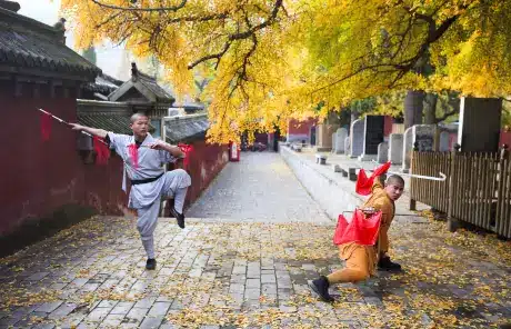 Shaolin Temple Kungfu Master