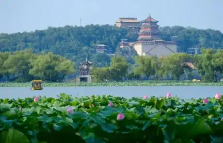 Beijing Summer Palace in summer - China Xian Tour: Private & Tailor-Made China Tours Beijing Summer Palace in summer