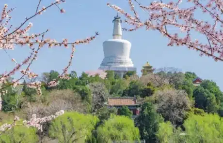 Beijing in Spring - China Xian Tour: Private & Tailor-Made China Tours Beijing Beihai Park in Spring