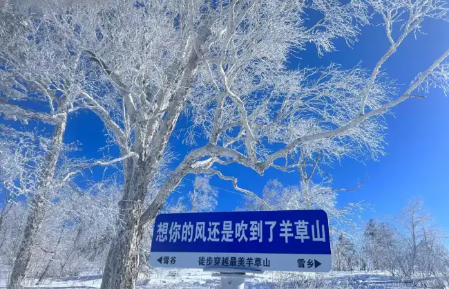 Yangcaoshan Snow Town