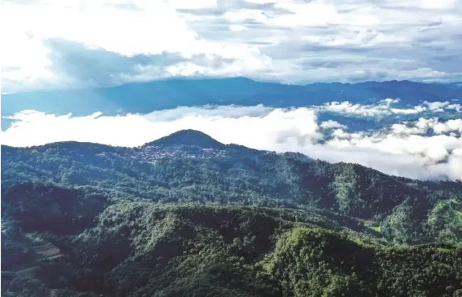3 Days Best Yunnan Tour to Jingmai Mountain