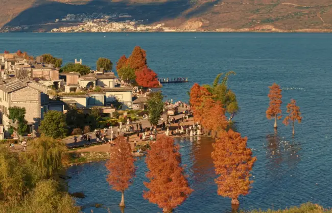 Dali in autumn