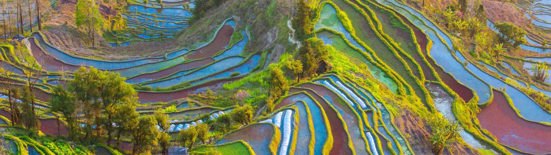 Yunnan to Yuanyang rice terraces tours