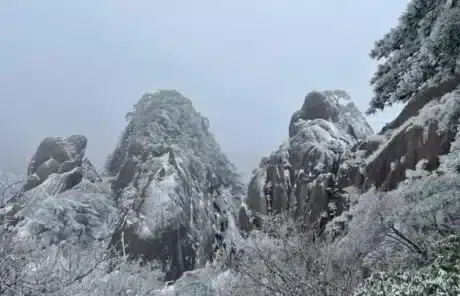 Huangshan in March - China Xian Tour: Private & Tailor-Made China Tours Huangshan in March