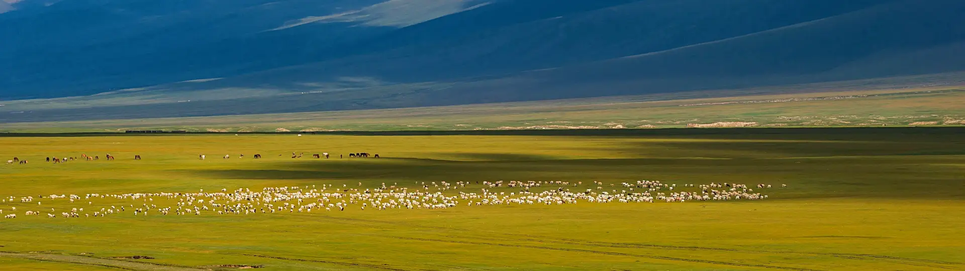 Northern Xinjiang tours