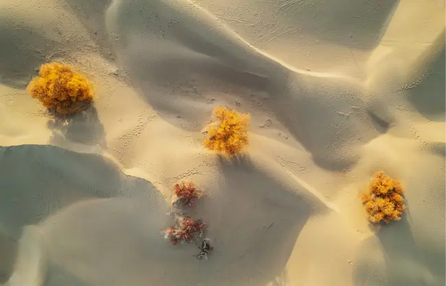 Taklamakan Desert sand dunes