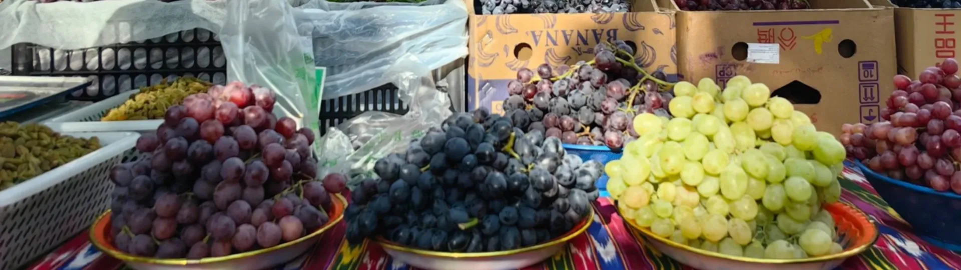 Grape Valley in Turpan